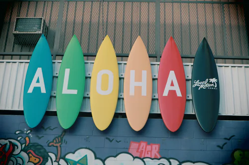 surf-boards